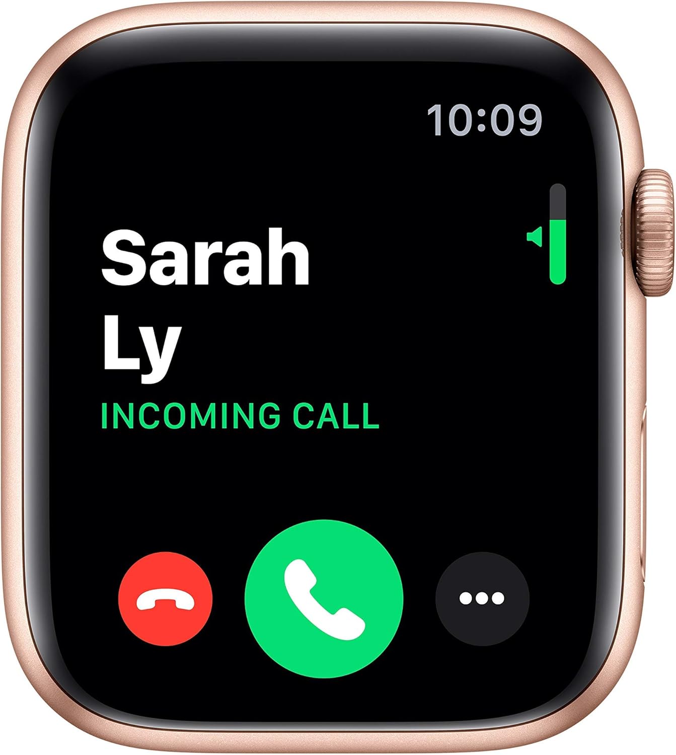 Apple Watch Series 5 (GPS, 40MM) - Gold Aluminum Case with Pink Sand Sport Band (Renewed) Review 6 Health and Fitness Features